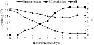 Image for - Optimization of Culture Conditions for Bacterial Cellulose Production by Acetobacter sp. 4B-2