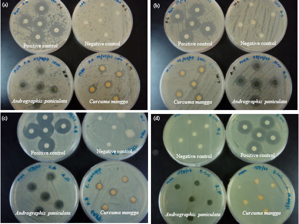 Image for - Antimicrobial Peptides in Aqueous and Ethanolic Extracts from Microbial, Plant and Fermented Sources