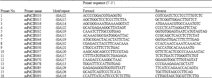Image for - Molecular Phylogeny Of Qatari Date Palm Genotypes Using Simple Sequence Repeats Markers