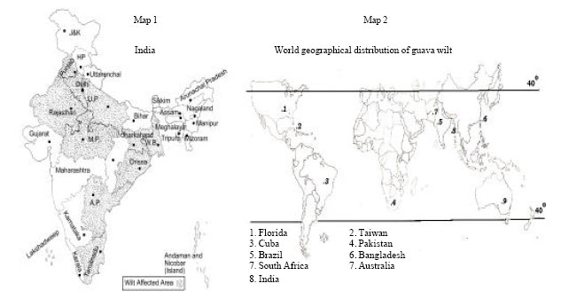 Image for - Current Status of Fusarium Wilt Disease of Guava  (Psidium guajava L.) in India