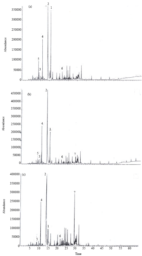 Image for - Chemical and Molecular Fingerprinting of Different Cultivars of Pelargonium graveolens (L’ Herit.) viz., Reunion, Bourbon and Egyptian