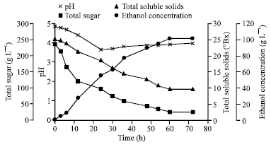 Image for - Growth and Batch Ethanol Fermentation of Saccharomyces cerevisiae on  Sweet Sorghum Stem Juice under Normal and Very High Gravity Conditions