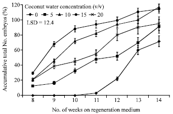 Image for - Somatic Embryogenesis of Date Palm (Phoenix dactylifera L.) Improved by Coconut Water