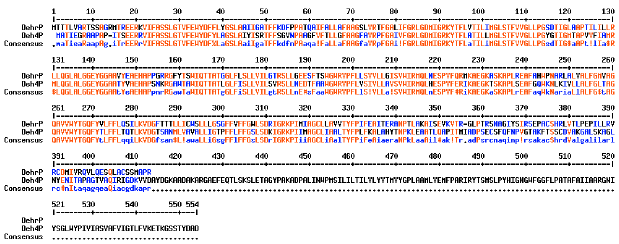 Image for - Cloning and DNA Sequence Analysis of the Haloalkanoic Permease Uptake Gene from Rhizobium sp. RC1