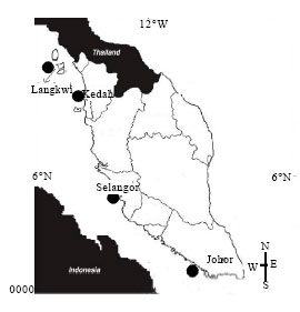 Image for - Genetic Structure and Haplotype Diversity of Tachypleus gigas Population along the West Coast of Peninsular Malaysia-Inferred through mtDNA AT Rich Region Sequence Analysis