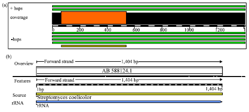 Image for - A Complete Sequence of the 16S rRNA Gene of a Novel Streptomyces coelicolor(AB588124) (QU66c-2002) Isolated from the Soil of Qatar