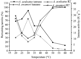 Image for - Optimization of Tannase Biosynthesis from Two Local Aspergilli using Commercial Green Tea as Solid Substrate