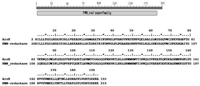 Image for - Amplification of arsH Gene in Lactobacillus acidophilus Resistant to Arsenite