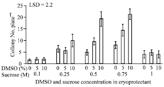 Image for - Optimizing In vitro Cryopreservation of Date Palm (Phoenix dactylifera L.)