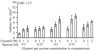 Image for - Optimizing In vitro Cryopreservation of Date Palm (Phoenix dactylifera L.)