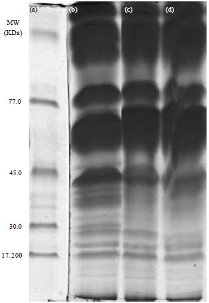 Image for - Isozymes and Purity Analysis in the Sunflower (Helianthus annuus L.) Three Hybrids Lotto7R0, Lotto7R09 and LottoR02