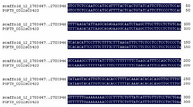 Image for - ARUPSEQ: Automatic Retrieval of Gene Upstream Sequence