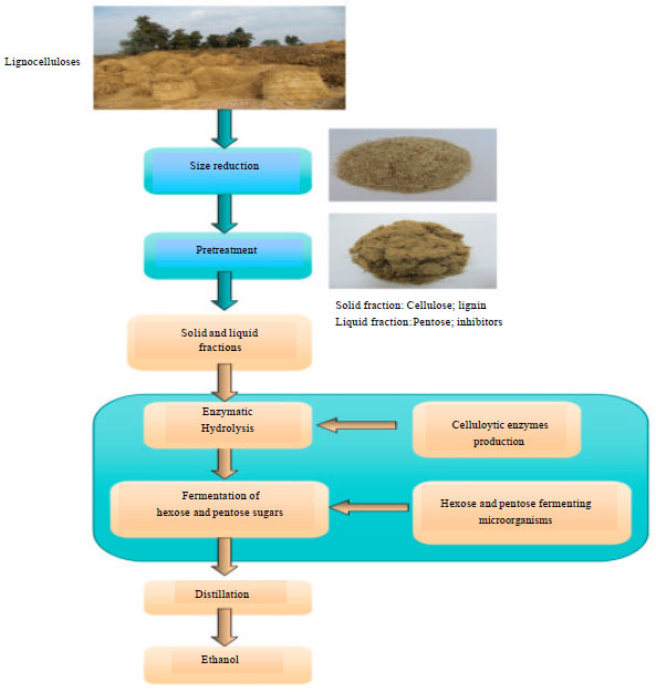 Image for - Bioethanol Production from Lignocellulosic Feedstocks Based on Enzymatic Hydrolysis: 
  Current Status and Recent Developments