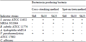 Image for - Bacteriocin Production by a Marine Strain of Bacills sp. Sh10: Isolation, Screening and Optimization of Culture Condition