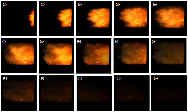 Image for - Flame Behavior of Gasoline-Air Explosion Suppression by Non-Premixed Nitrogen in a Closed Tube