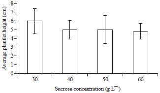 Image for - In vitro Growth and Multiplication of Pineapple under Different Duration of Sterilization and Different Concentrations of Benzylaminopurine and Sucrose