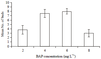 Image for - In vitro Growth and Multiplication of Pineapple under Different Duration of Sterilization and Different Concentrations of Benzylaminopurine and Sucrose