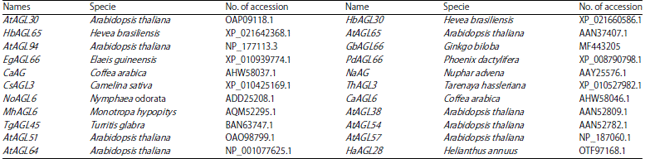 Image for - Molecular Cloning and Expression Analysis of a AGAMOUS-like 66 Gene (GbAGL66) in Ginkgo biloba