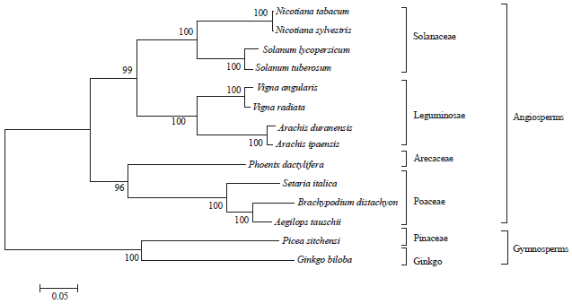 Image for - Cloning and Expression Analysis of a Flowering Gene FRIGIDA (GbFRI) from Ginkgo biloba