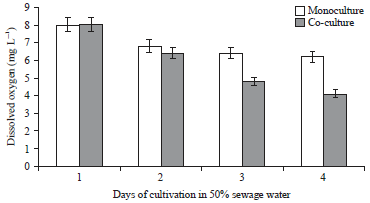 Image for - Improved Biomass Through Mutualistic Co-culturing of Chlorella vulgaris with Nitrobacter in Sewage Water