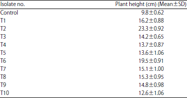 Image for - Characterization of Phosphate Solubilising Bacteria Isolated from Rhizosphere Soils of Piper nigrum L.