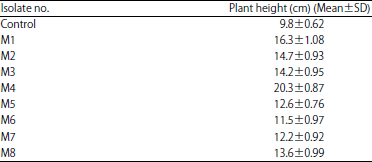 Image for - Characterization of Phosphate Solubilising Bacteria Isolated from Rhizosphere Soils of Piper nigrum L.