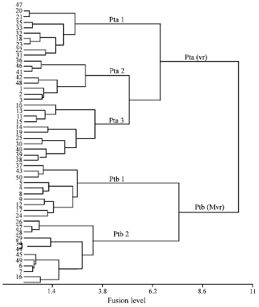 Image for - Two Pathotypes of Xanthomonas oryzae pv. Oryzae Virulence Identified in West Africa