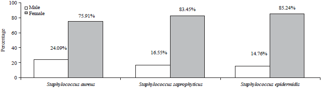 Image for - Incidence and Antibiotic Susceptibility Pattern of Staphylococcus spp. in Urinary Tract Infections (UTI), IRAN, 2013-2014