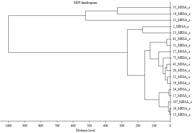 Image for - Species Identification of Clinical Coagulase-negative Staphylococci Isolated in Al-Shifa Hospital Gaza using Matrix-assisted Laser Desorption/Ionization-time of Flight Mass Spectrometry