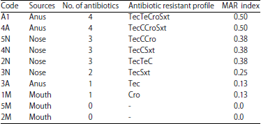 Image for - Antibiotic Susceptibility of Fastidious and Non-fastidious Bacteria from African Swine Fever Pigs to Standard Antibiotics and ‘Luwine’