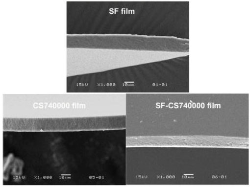 Image for - Effect of Chitosan Molecular Weights on Characteristics of Silk Fibroin/Chitosan Blend Films