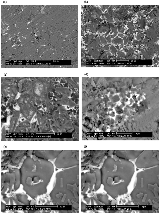 Image for - Microstructure and Current-voltage Characteristics of (ZnO-CuO) Varistor System in the Presence of Additive Oxides, Cr2O3, Bi2O3 and NiO
