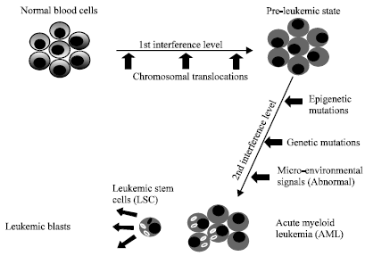 Image for - Molecular Diagnostics and Therapy of Acute Myeloid Leukemia