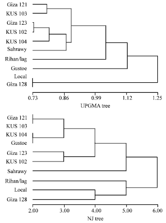 Image for - Genetic Relationships of Some Barley Cultivars, Based on Morphological Criteria and RAPD Fingerprinting