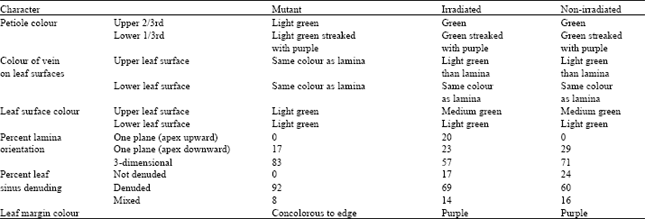 Image for - Characterization of a Mutant Population of Cocoyam (Xanthosoma sagittifolium L. Schott)