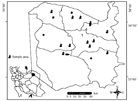 Image for - The Preparation of the Colza (Brassica napus) Suitability Map Using Statistical Analysis and GIS; Case Study: Sabzevar Township, Iran