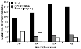 Image for - Phenotypic Plasticity Among Ecological Populations of Polygonum equisetiforme Sm. in the Northern Geographical Areas, Egypt