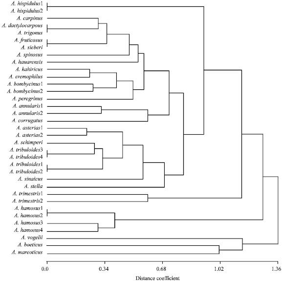 Image for - Karyotype Analysis and Systematic Relationships in the Egyptian Astragalus L. (Fabaceae)