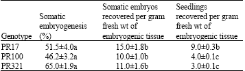 Image for - Plant Regeneration via Somatic Embryogenesis Using Secondary Needles of Mature Trees of Pinus roxburghii Sarg
