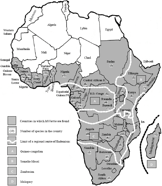 Image for - Traditional Uses of the African Millettia species (Fabaceae)