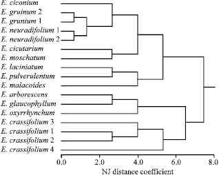 Image for - Systematic Revision of Erodium species in Egypt as Reflected by Variation in Morphological Characters and Seed Protein Electrophoretic Profile
