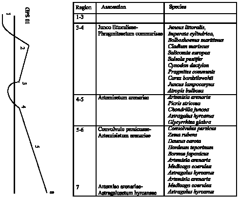 Image for - Phytosociological Characteristics the Vegetation of the Caspian’s  Shores in Azerbaijan