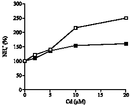 Image for - Differential Toxicological Response to Cadmium Stress of Bean Seedlings  Grown With NO3– or NH4+  as Nitrogen Source