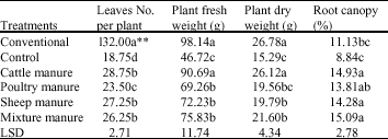 Image for - Strawberry (Fragaria x Ananasa Duch) Growth, Flowering and Yielding  as Affected by Different Organic Matter Sources