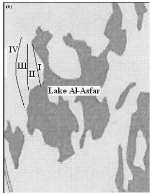 Image for - Floristic Composition of Lake Al-Asfar, Alahsa, Saudi Arabia