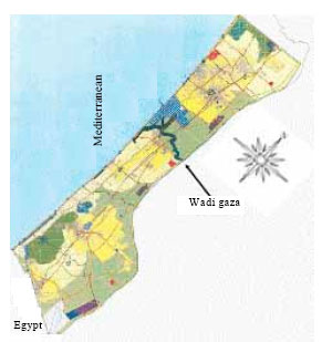 Image for - Phytosociological Attributes of Wadi Gaza Area, Gaza Strip, Palestine