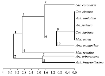 Image for - RAPD, ISSR and RFLP Analysis of Phylogenetic Relationships Among Congeneric  Species (Anthemideae, Asteraceae) in Egypt