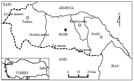 Image for - Macrofungal Diversity of Ardahan and Iğdır Province (Turkey)