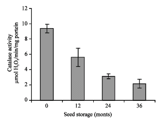 Image for - Effect of Storage and Cold-Stratification on Seed Physiological Aspects of Bunium persicum: A Threatened Medicinal Herb of Trans-Himalaya