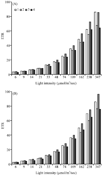 Image for - Salinity and Photochemical Efficiency of Wheat